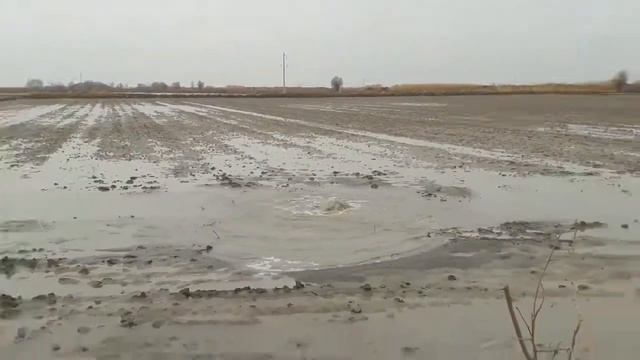 GAZ QAYERGA KETYAPTI. ГАЗ КАЙЕРГА КЕТЯПТИ. УЗБЕКИСКИЙ ГАЗ КУДА УХОДИТ.