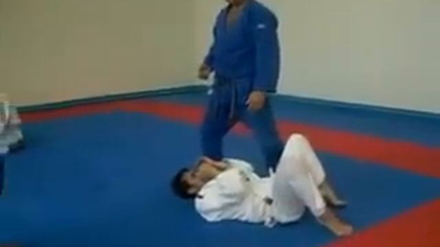 Джиу-Джитсу Бушинкан семинар.avi