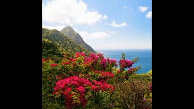 учение о роде предках  родовом дереве по ведам и их значение для нашей жизни