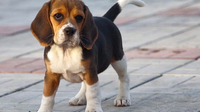 АКТУАЛЬНЫЙ ГАЙД НА ОТВЁРТКУ В 2023