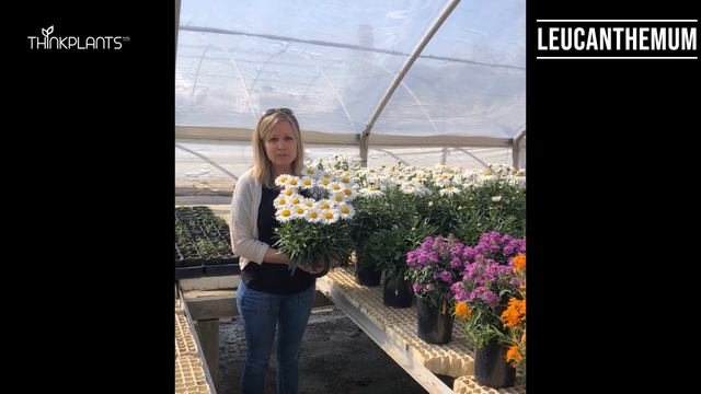 Come See Us At CAST - Flower Trials