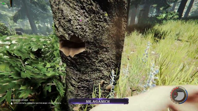 The Forest! Построил дом на воде!! #2