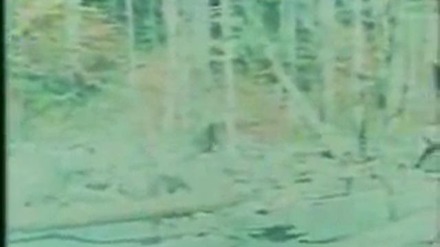 Снежный человек (реальные съемки)