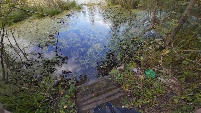 Тестирую DJI OSMO Action 4