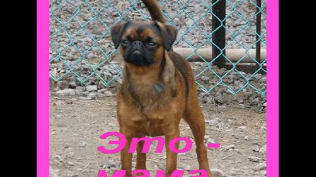 076aea0c4e4c53389810d1f75f6fcecd