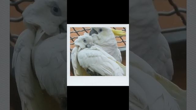 A391b043ea31f3996ce5435b667925b4