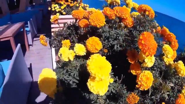 Отдых в Крыму. Ялта, отдых в Крыму 2017. Видео от Yalta-hotel.ru