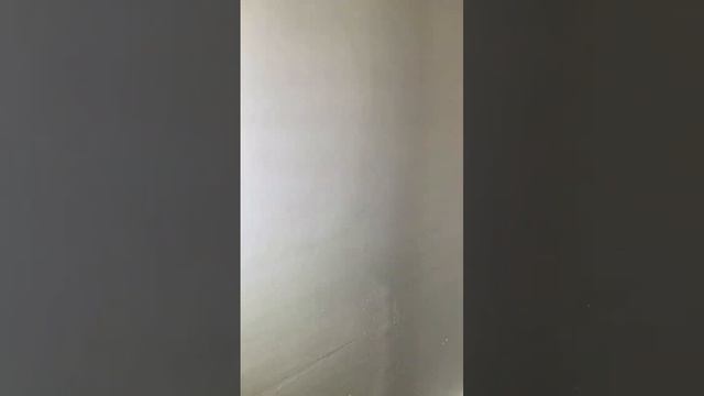 Тарелка на PLANEX LHS 2 225 EQI Шлифуем без целлюлита #PLANEX LHS 2 225 EQI