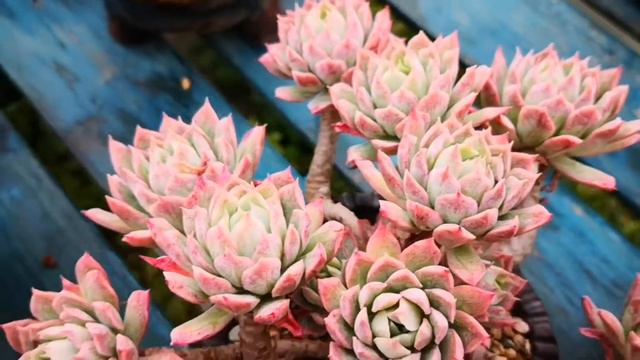 Ff3dfdf01f4c7cbffb3f672ddaa8c0dd