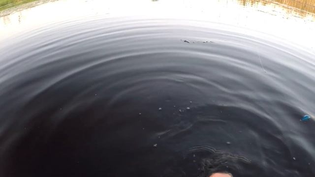 Щука ЖРЕТ кренк на Головля, Рыбалка на воблер, Ловля Щуки.