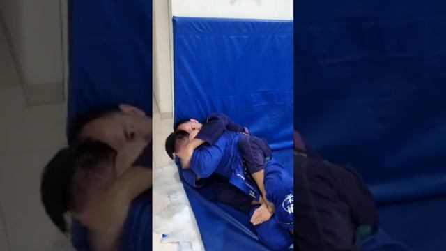 500a03b373c53ed395f4c9dbd68b3671