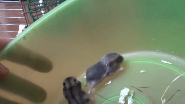 5349b3d95f8423611eb85c12e4adf1f1