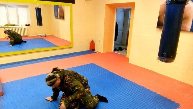 Aa47f2556e0b4697fd7195cbcc6d3842