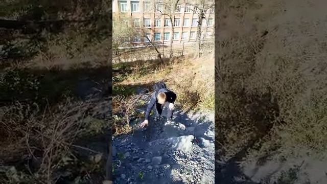 Alkonarkoman (Product)