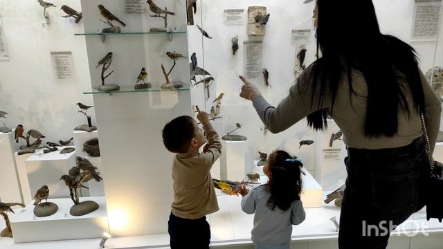 23.02.2022 Давно хотели посетить Музей Природы Новосибирска (на Вокзальной магистрали, 11).