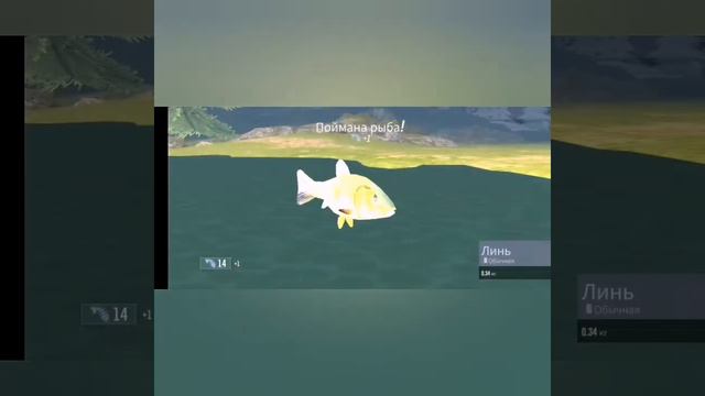 #war #Tortoise #2 #android #gameplay #игра #игрульки #fishing #рыбалка #животные #черепаха