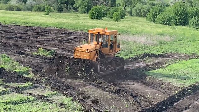 Белая Интерьерная Симфония