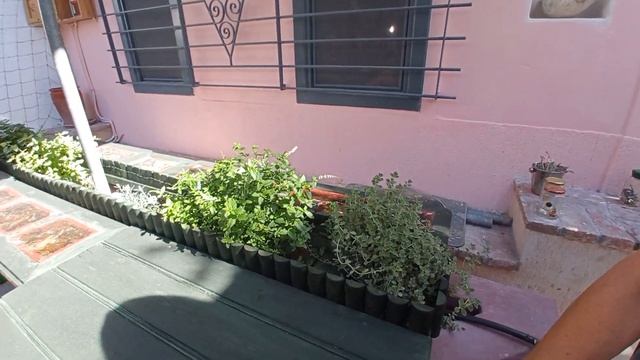 489b6e669329558e4c43d3806150de89