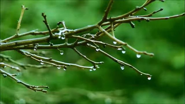 Евангелие от Матфея * Глава шестнадцатая