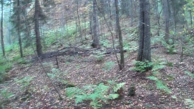 E99816b798bd2a8745f2be3037b6cf30