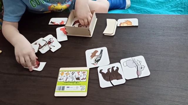 ToySib Картинки-половинки 