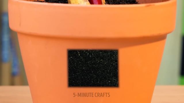 Genius Gardening Gadgets And Hacks That Actually Work