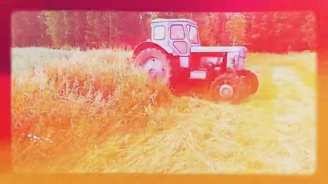 Т-40 ам на сенокосе, видео-колаж от Google