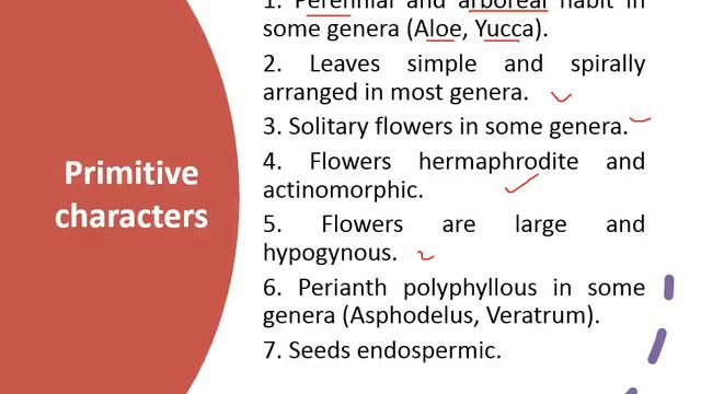 4b1b2919c1be366ff21c2f3e3ec65b66