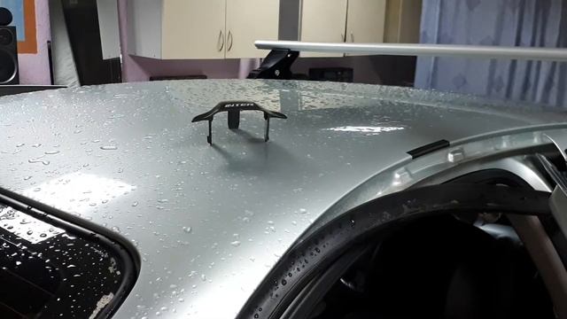 Боксерское письмо