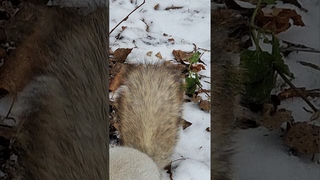 #dance #edit #kpop #twice #gidle #kpopdance #cover #newjeans #dancer #funny