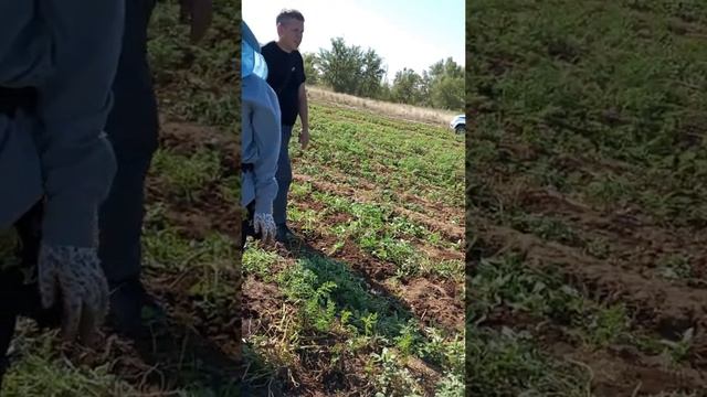 55dd65aed9fd738c2ecf0184ddcd0e35