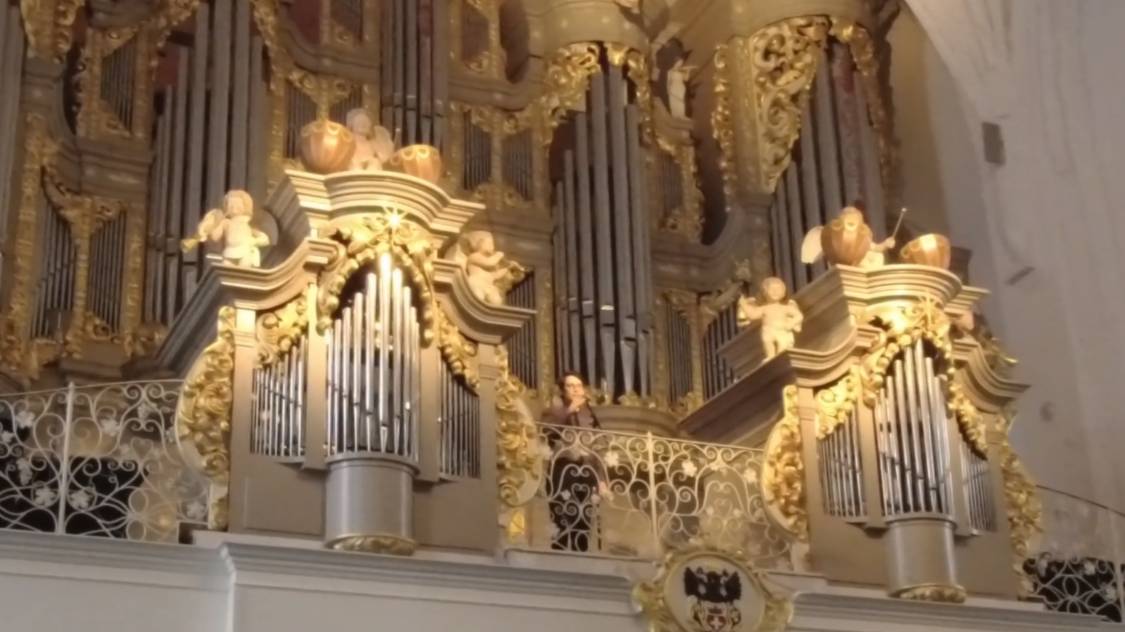 Орган в кафедральном соборе на острове Канта