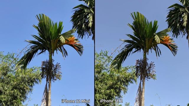 IPhone 12 Mini VS IPhone SE 2 Camera Comparison, IPhone 12 Mini Camera Review, Video Test, Charging