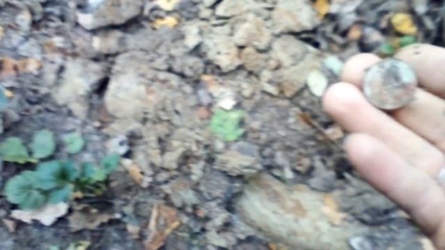 MAKRO Multi Kruzer.КОП в Подольском и Чеховском р-оне.