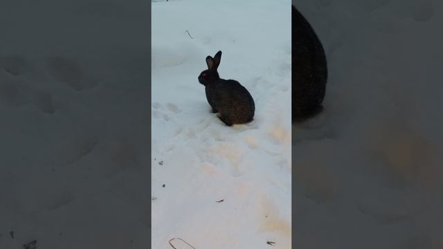 Смотрит, ищет вас.