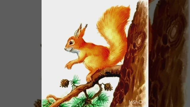 Белочка - проказница  В. Степанов   #детям  #стихи  #стихидлядетей