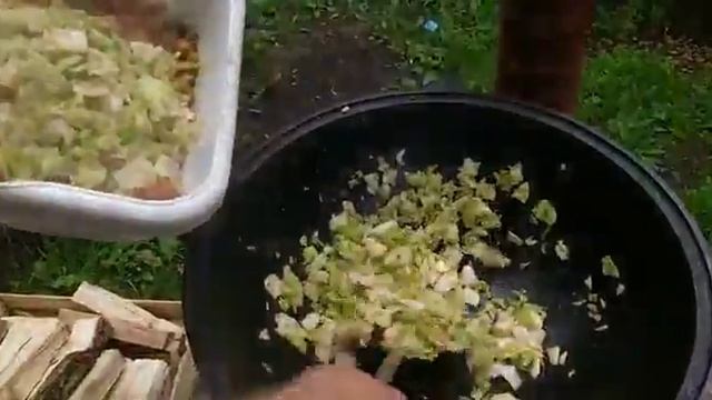 Сотэ из овощей или овощи в казане на огне