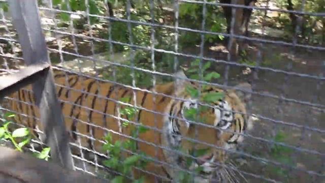 1b70ec8ee87cc209d33bcc3da576d1f6