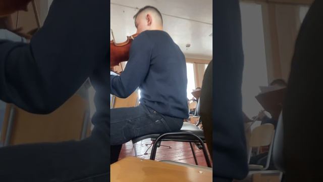 Symphony Orchestra Plays For Hummel 🎻#hummel#hummels#recomendation#tops#music#хочуврек#хочувтоп#топ