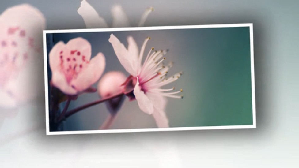 Antonio Forcione - Nature - Slideshow - 2014