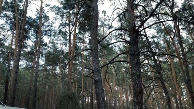 Под капотом