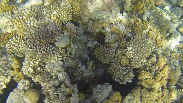 Мебельные истории