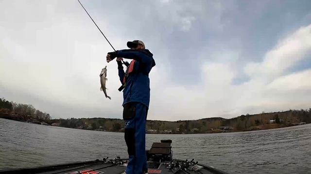 Chasing Spotted Bass on Smith Lake - MLF Toyota Series Day 1
