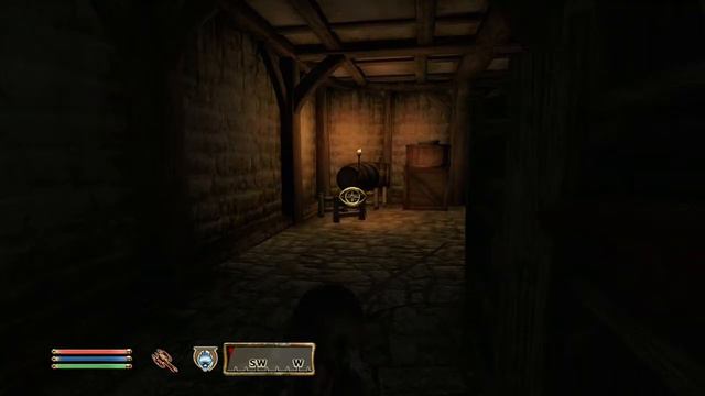 The Elder Scrolls IV: Oblivion