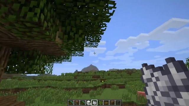 Minecraft Tips And Tricks - How To Grow A Big Tree - Never Get Small Trees Again