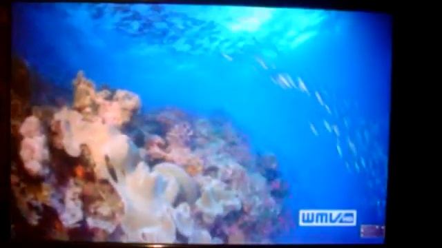 ASUS Eee Box Ruckelfreie 1080p Wiedergabe