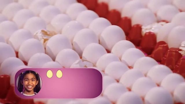 Cracking Thirteen Eggs | Emily's Wonder Lab