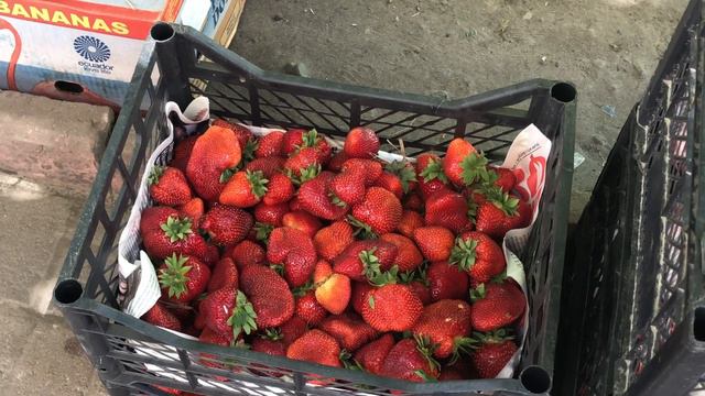 В Гале Балуваной/Купила Клубнику/Замена Карточки в Киевстаре