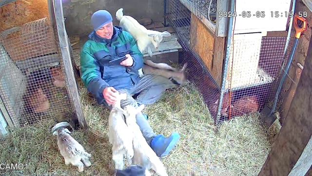 дети цветы жизни