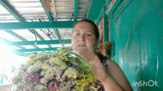 Кермек. Статица. Букет стоїть без води рік